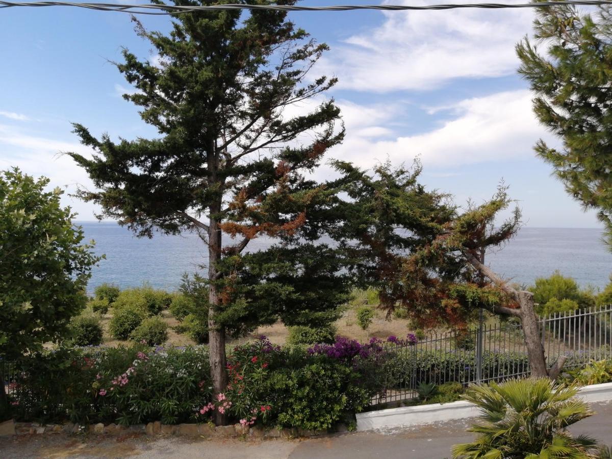 Villaggio Turistico La Vesca Sanremo Bagian luar foto